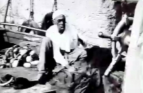 فيديو: ريّس أباً عن جد - أول تقرير مصوّر عن حياة الصيادين بيافا في سنوات الستينات